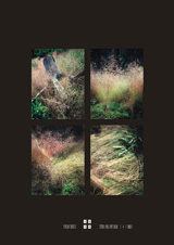 klikni pro zv�t�en�