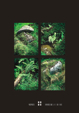 klikni pro zv�t�en�