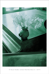 klikni pro zv�t�en�