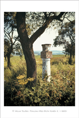 klikni pro zv�t�en�