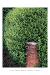 klikni pro zv�t�en�