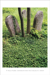 klikni pro zv�t�en�