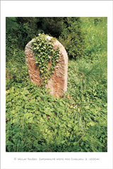 klikni pro zv�t�en�