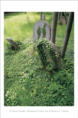 klikni pro zv�t�en�