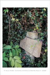 klikni pro zv�t�en�