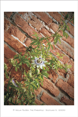 klikni pro zv�t�en�