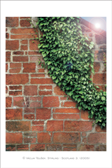 klikni pro zv�t�en�