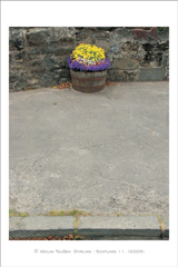 klikni pro zv�t�en�