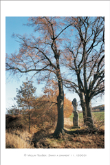 klikni pro zv�t�en�