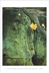 klikni pro zv�t�en�