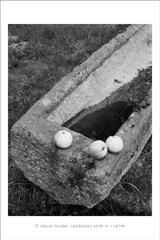 klikni pro zv�t�en�