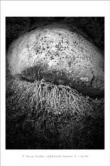 klikni pro zv�t�en�