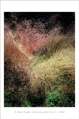 klikni pro zv�t�en�