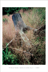 klikni pro zv�t�en�