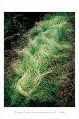 klikni pro zv�t�en�