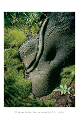 klikni pro zv�t�en�