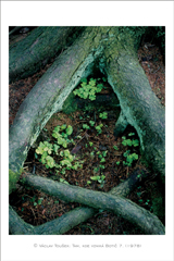 klikni pro zv�t�en�