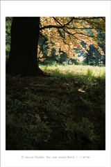 klikni pro zv�t�en�