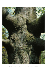 klikni pro zv�t�en�