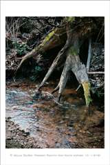 klikni pro zv�t�en�