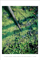 klikni pro zv�t�en�