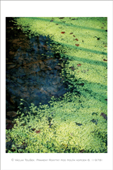 klikni pro zv�t�en�