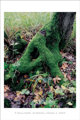 klikni pro zv�t�en�