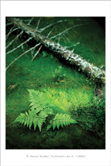 klikni pro zv�t�en�