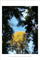 klikni pro zv�t�en�