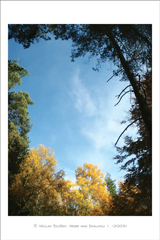 klikni pro zv�t�en�