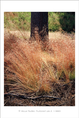 klikni pro zv�t�en�