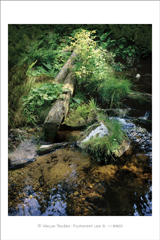 klikni pro zv�t�en�