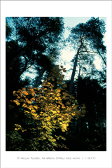 klikni pro zv�t�en�