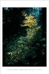 klikni pro zv�t�en�