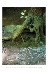 klikni pro zv�t�en�