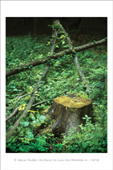 klikni pro zv�t�en�