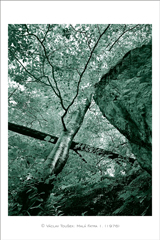 klikni pro zv�t�en�