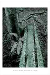 klikni pro zv�t�en�