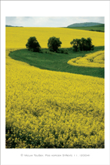 klikni pro zv�t�en�