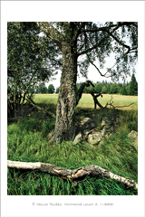 klikni pro zv�t�en�