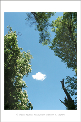 klikni pro zv�t�en�