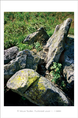 klikni pro zv�t�en�