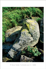 klikni pro zv�t�en�