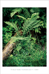 klikni pro zv�t�en�