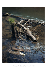 klikni pro zv�t�en�