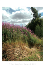 klikni pro zv�t�en�