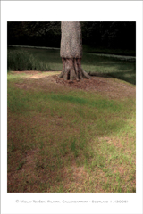 klikni pro zv�t�en�