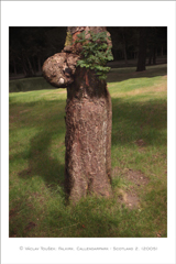 klikni pro zv�t�en�