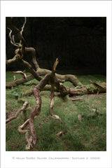 klikni pro zv�t�en�