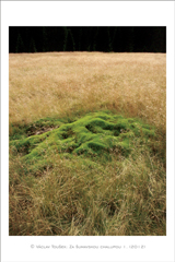 klikni pro zv�t�en�